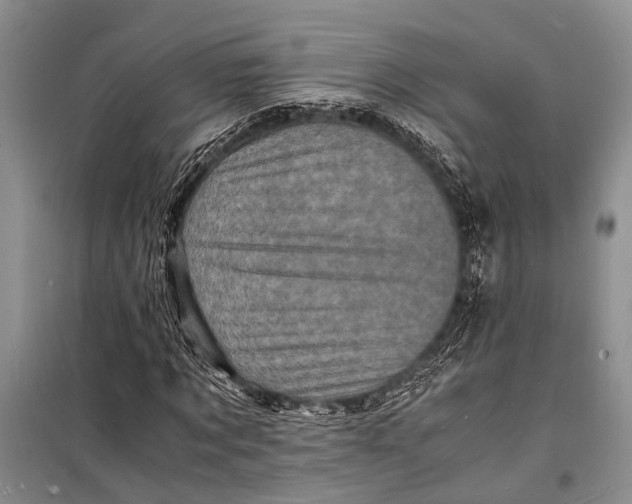 X0000098180869200805151138