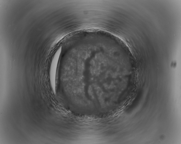 X0000098180871200805151138