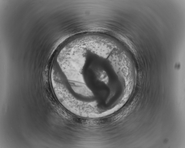 X0000098180875200805151138