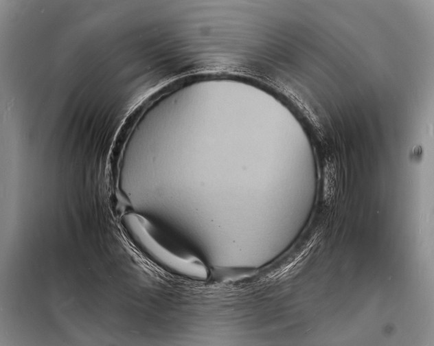 X0000098180876200805151138