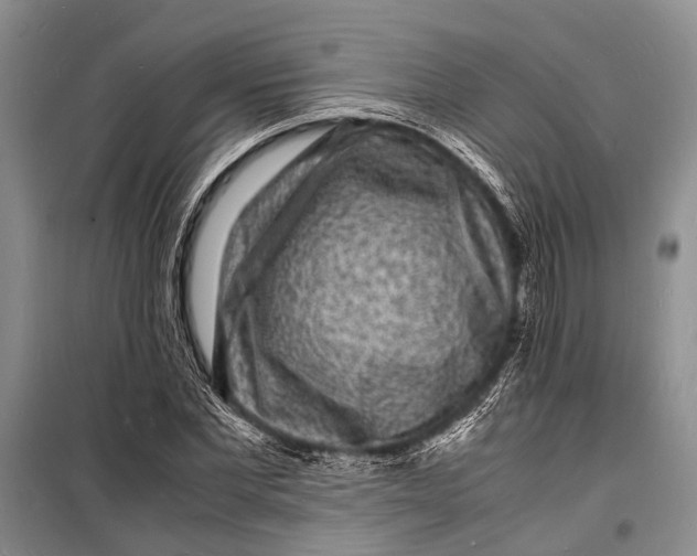 X0000098180877200805151138