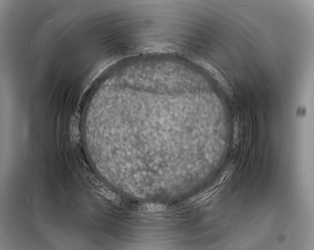 X0000098180878200805151138