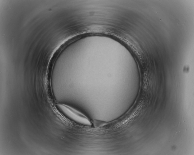 X0000098180880200805151138