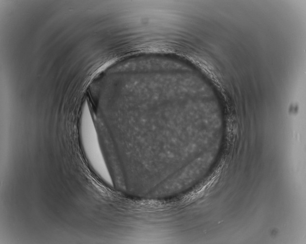 X0000098180881200805151138