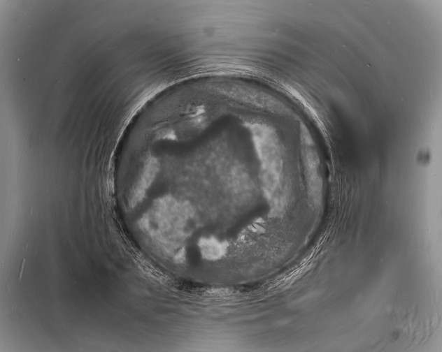 X0000098180883200805151138