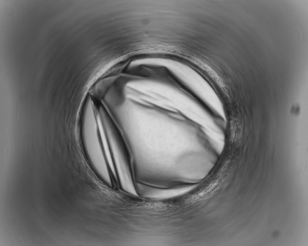 X0000098180885200805151138