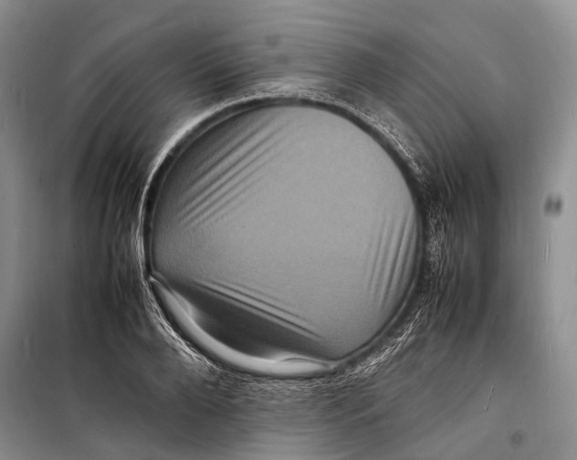 X0000098180888200805151138