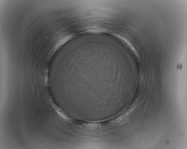 X0000098180889200805151138