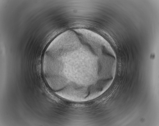 X0000098180890200805151138