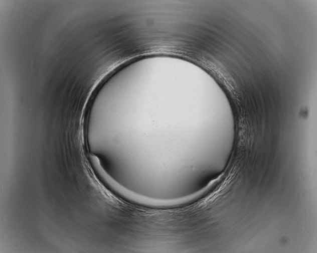 X0000098180892200805151138