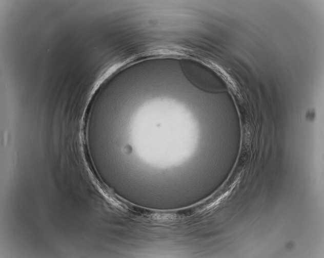 X0000098180893200805151138