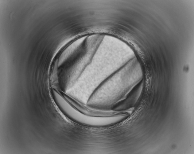 X0000098180894200805151138