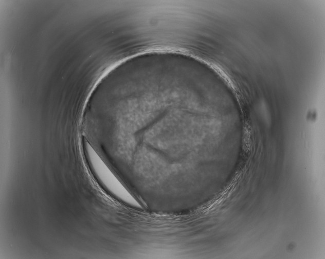 X0000098180895200805151138