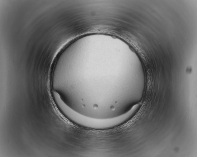 X0000098180896200805151138