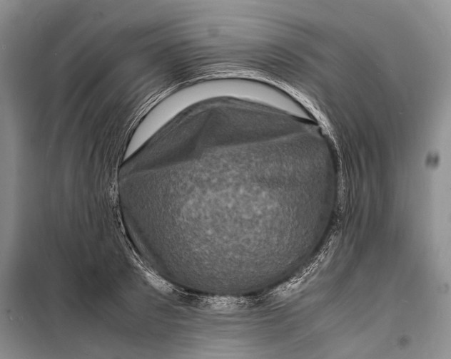 X0000098180897200805151138