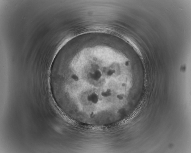 X0000098180899200805151138