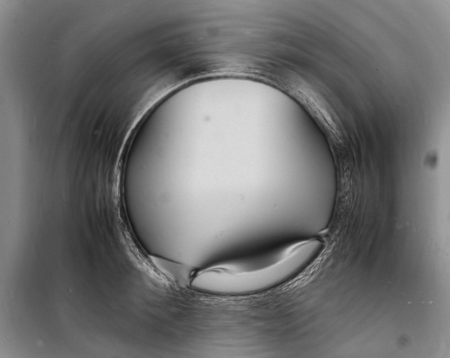 X0000098180900200805151138