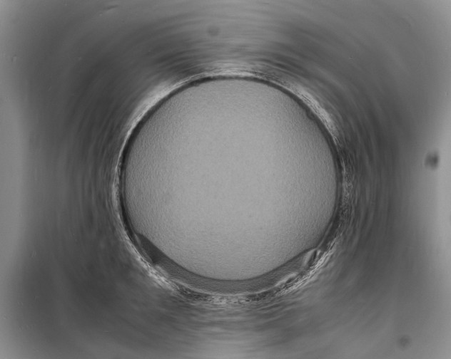 X0000098180901200805151138