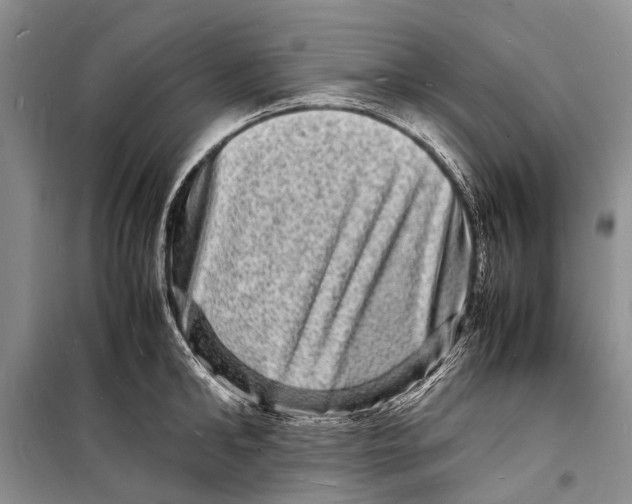 X0000098180902200805151138