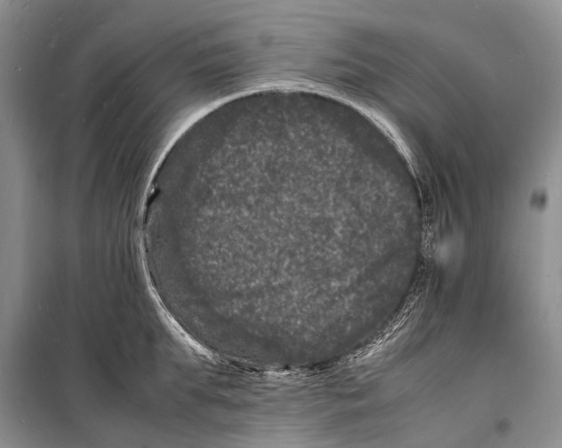 X0000098180903200805151138