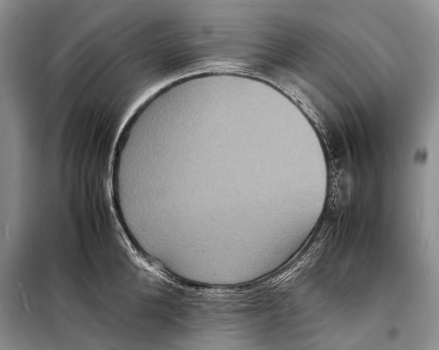 X0000098180904200805151138