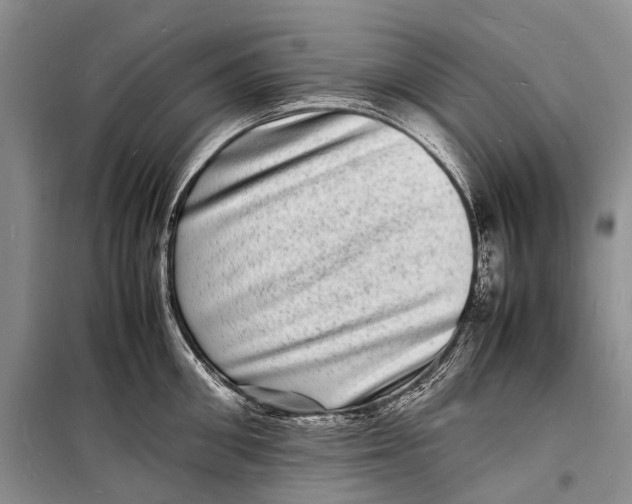 X0000098180906200805151138