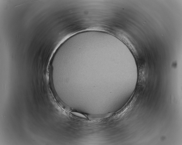 X0000098180908200805151138