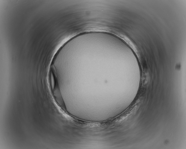 X0000098180909200805151137