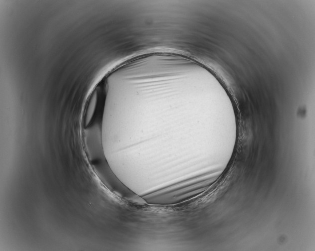 X0000098180910200805151137