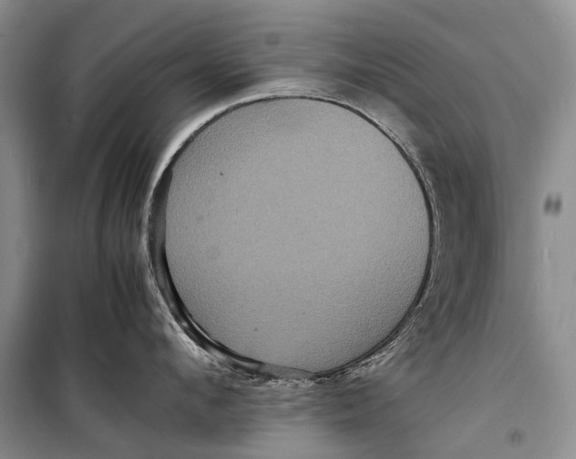 X0000098180912200805151137