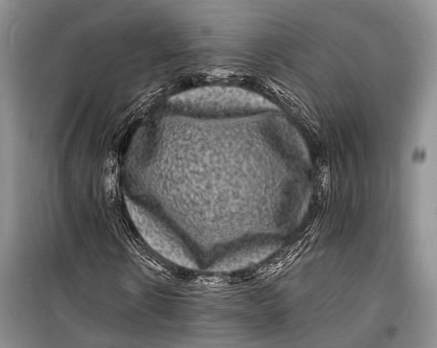 X0000098180914200805151137