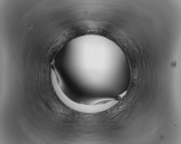 X0000098180916200805151137