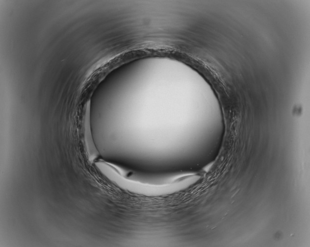 X0000098180920200805151137