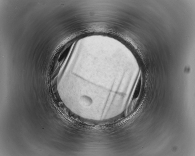 X0000098180922200805151137