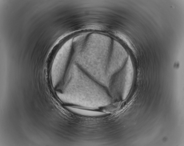 X0000098180923200805151137