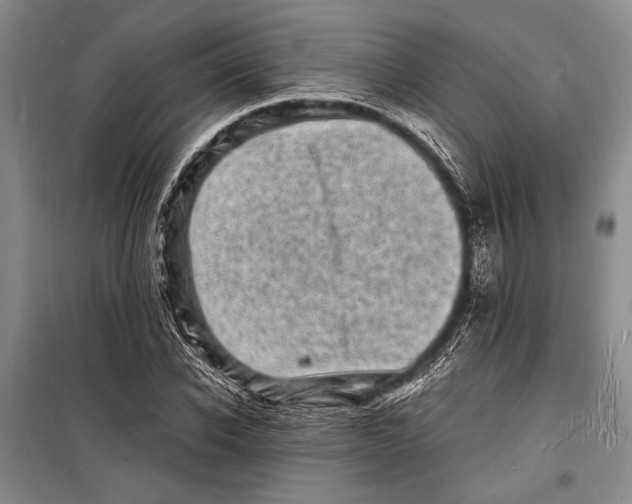 X0000098180926200805151137