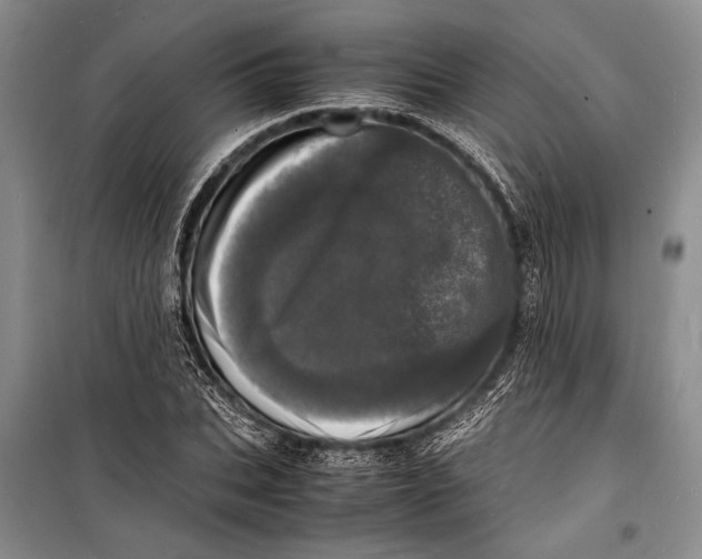 X0000098180927200805151137