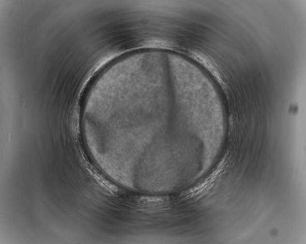 X0000098180931200805151137