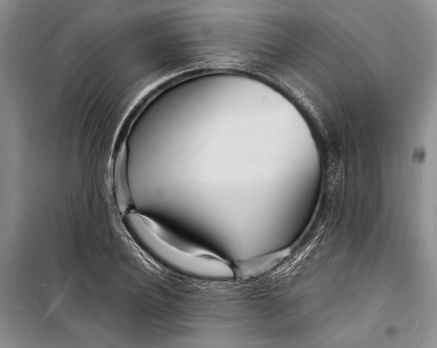 X0000098180932200805151137