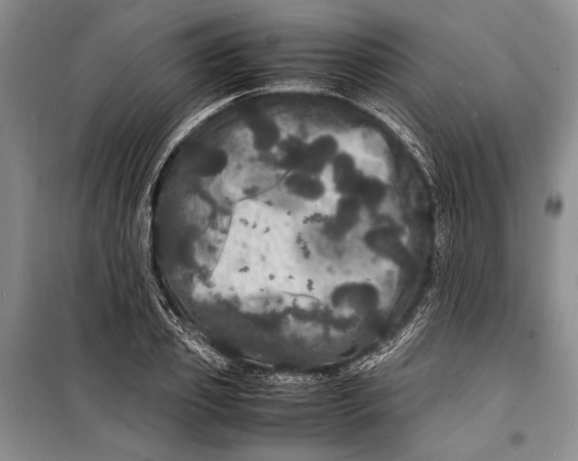 X0000098180933200805151137