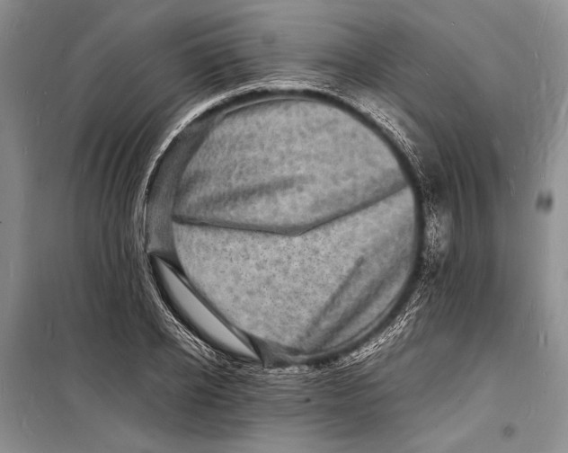 X0000098180934200805151137