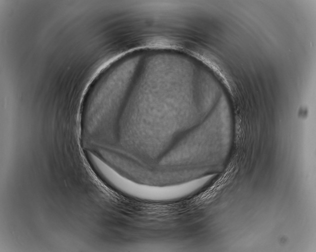 X0000098180935200805151137