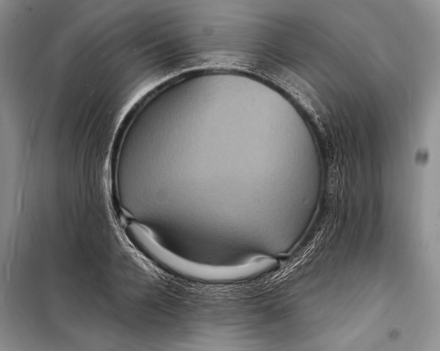 X0000098180936200805151137