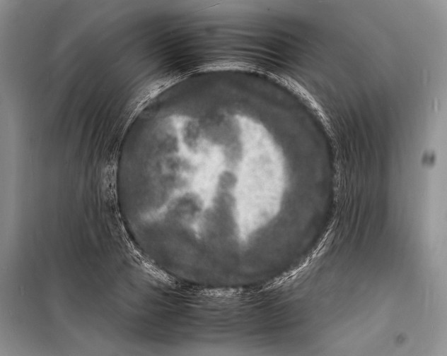 X0000098180937200805151137