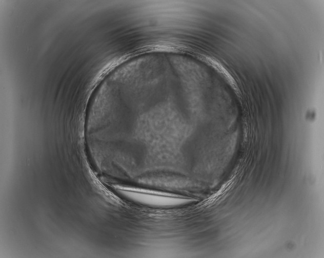 X0000098180938200805151137