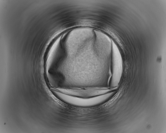 X0000098180939200805151137