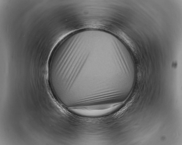 X0000098180940200805151137