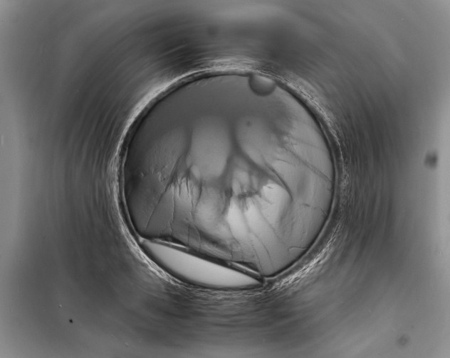 X0000098180941200805151137