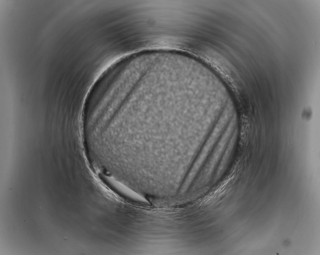 X0000098180942200805151137