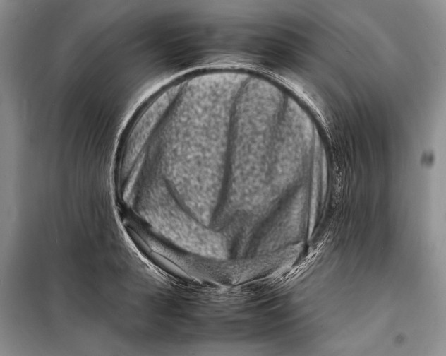 X0000098180943200805151137